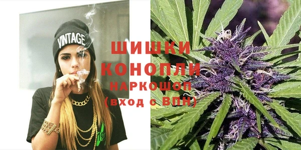 молекула духа Волоколамск