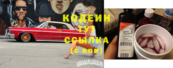 молекула духа Волоколамск