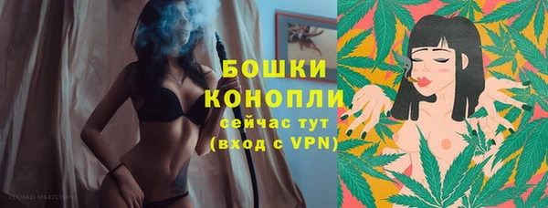 дурь Вяземский
