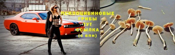 MDMA Володарск