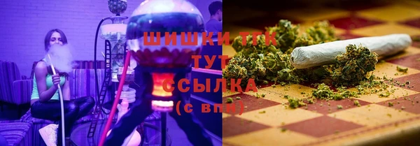 молекула духа Волоколамск