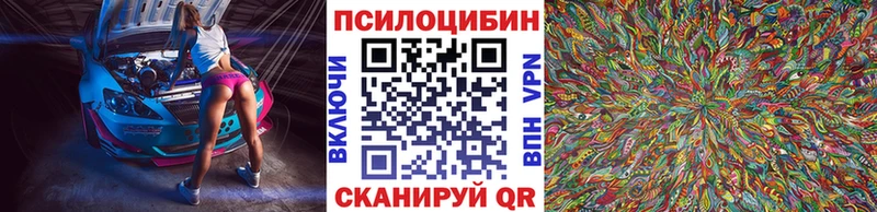 Галлюциногенные грибы GOLDEN TEACHER  Купить  Малая Вишера 